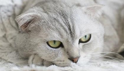 爱游戏中国-精彩瞬间集锦：过去一周的最热比赛瞬间，最近几天的热门比赛