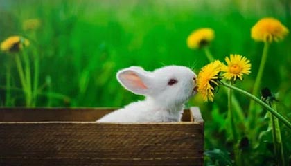 爱游戏中国-精彩瞬间集锦：过去一周的最热比赛瞬间，最近几天的热门比赛