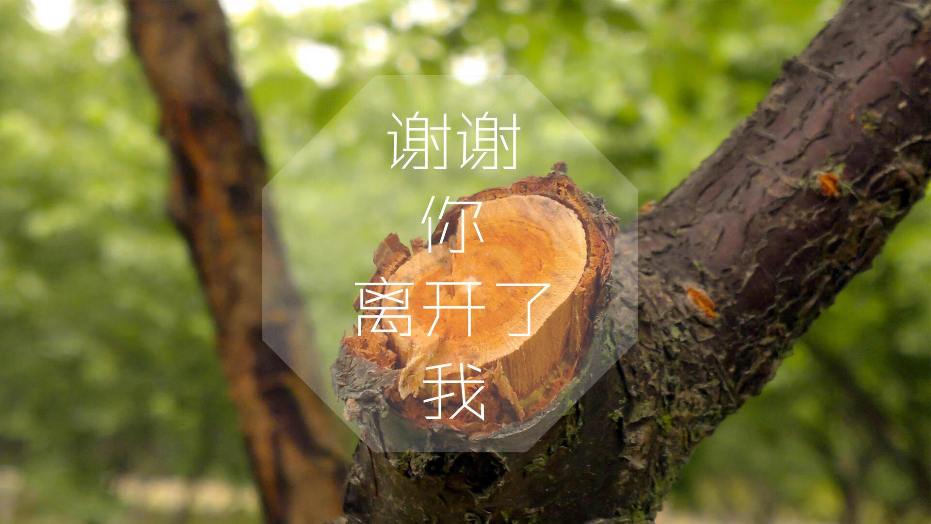 爱游戏娱乐网址-NBA退役球星回归母校助阵篮球公益活动，nba退役人员名单
