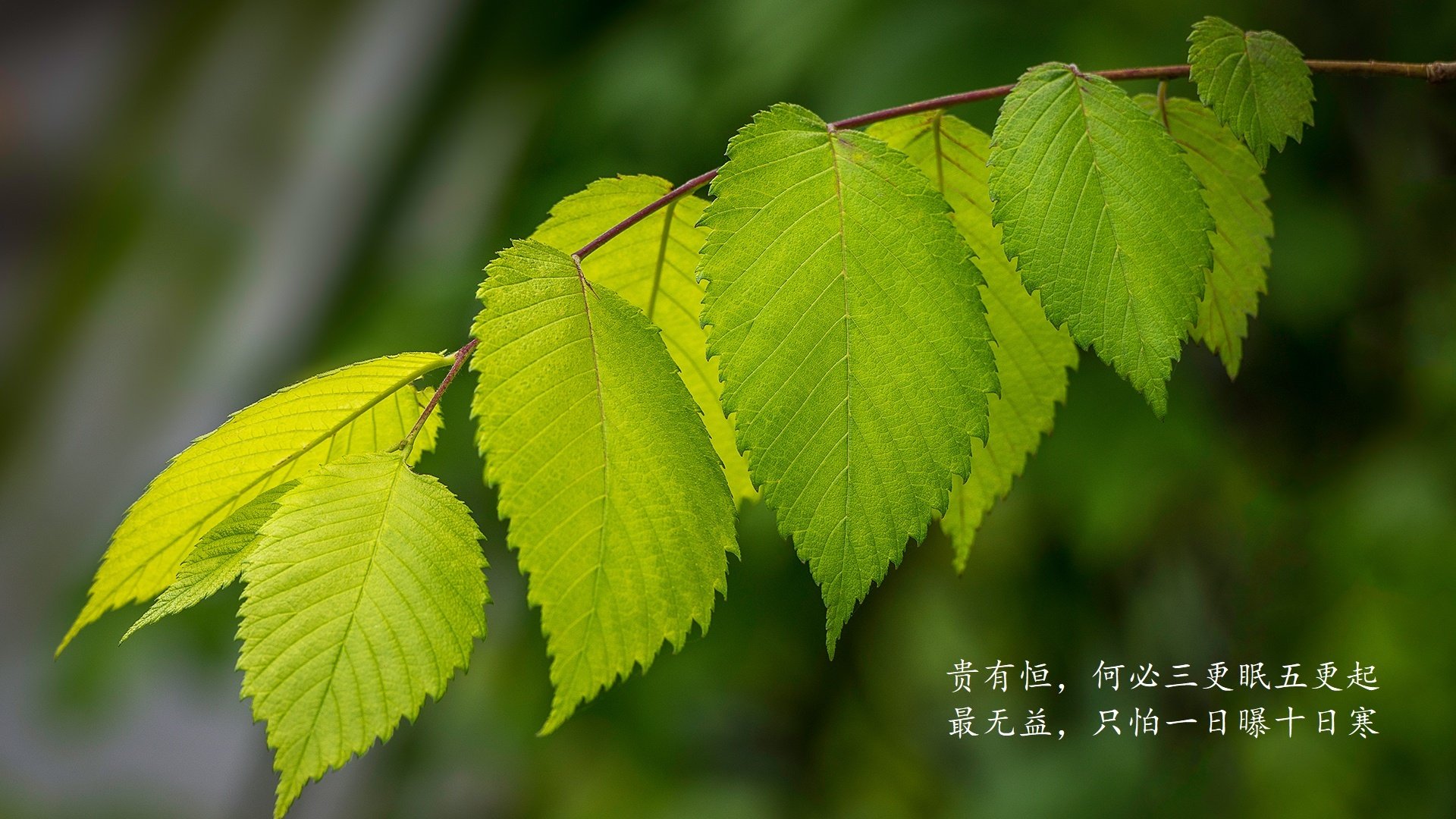 美国队门将穆斯莱拉在巴黎奥运会上展现出高水平的扑救能力，穆莱伊斯梅尔大学
