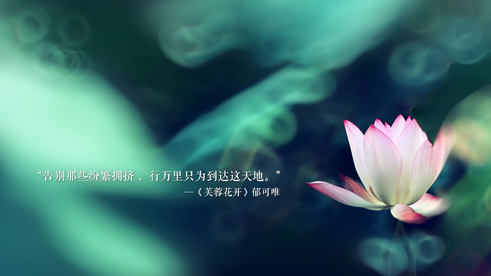 里昂新赛季展望，里昂新赛季球衣