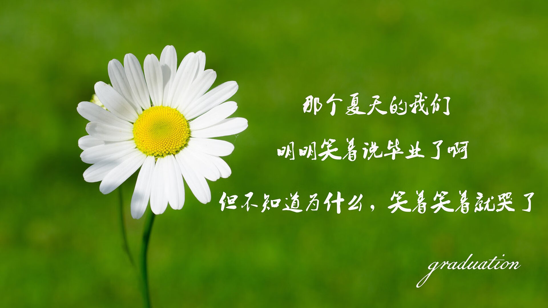 LCK实施选手赛季体能动态监控，lck规定