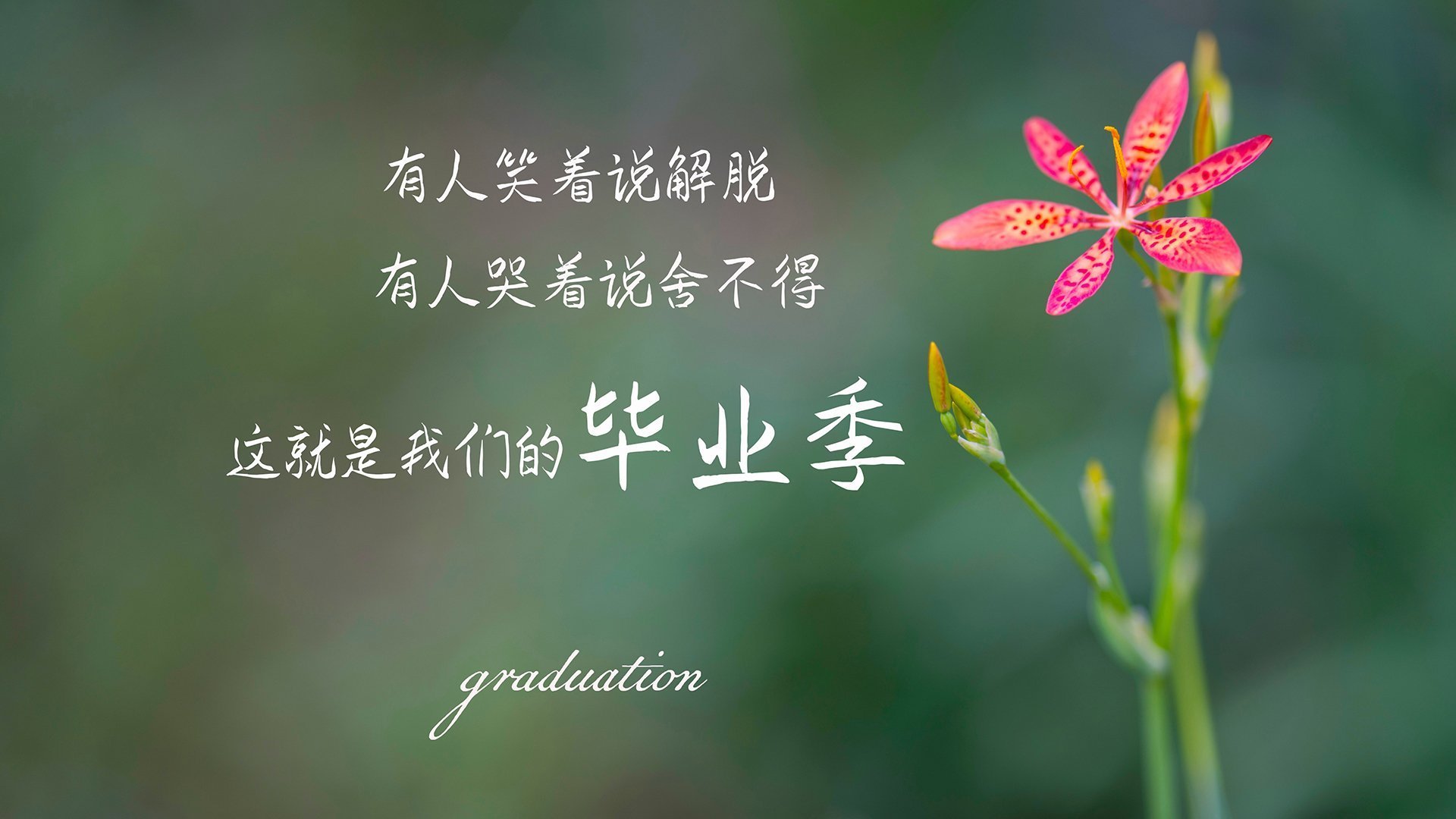 体育锋线射手进球数持续攀升，锋线球员打法