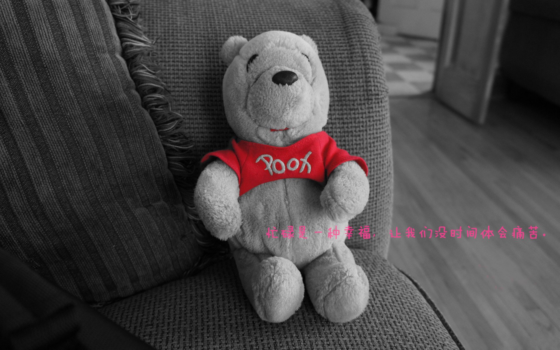 爱游戏体育-森林狼揭开季前训练营序幕，森林狼季前赛