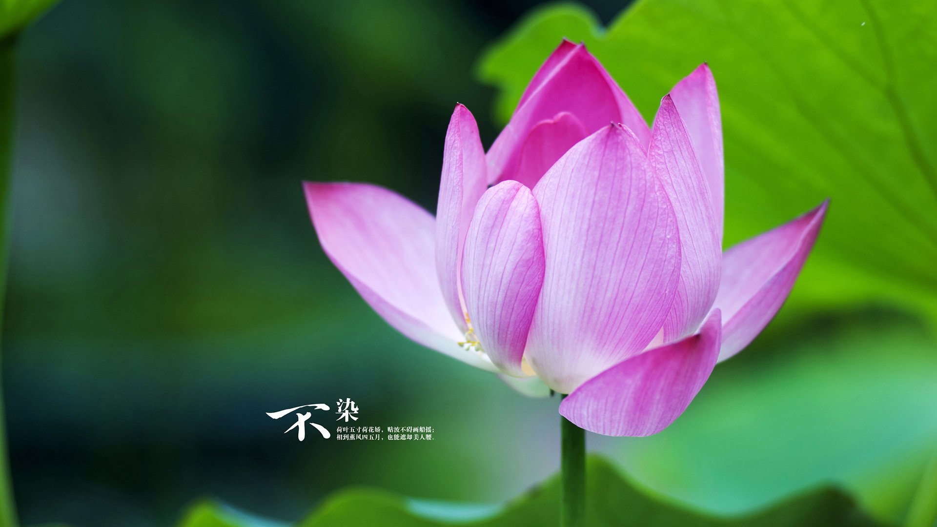 篮球专项技能教学方法改革及实战应用研究,篮球专项技术训练要点