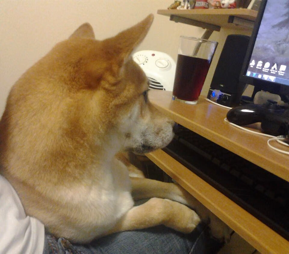 篮球运动员专项体能训练科学管理模式研究,篮球运动员最需要的专项体能