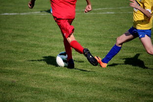 AYX SPORTS-特色足球文化在国际博览会中亮相，展示国家软实力，世界足球文化