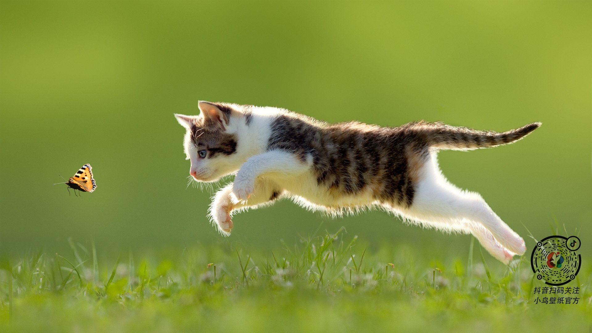 AYX体育-足球战术培训课程在线上广泛开设，学习更便捷，足球战术教学与训练的基本步骤