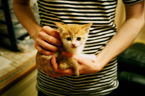 “拳击选手全力出击,四川省体育馆迎来激烈角逐”