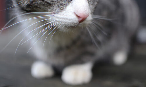 爱游戏中国官方网站平台-世界杯中国队晋级 数据分析受到关注，世界杯中国队晋级了吗