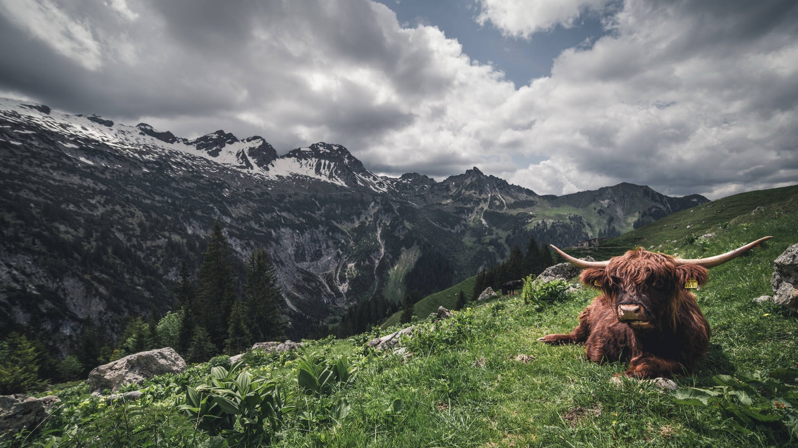 爱游戏-主教练下课前球队表现是否有明显战术信号，主教练上场比赛