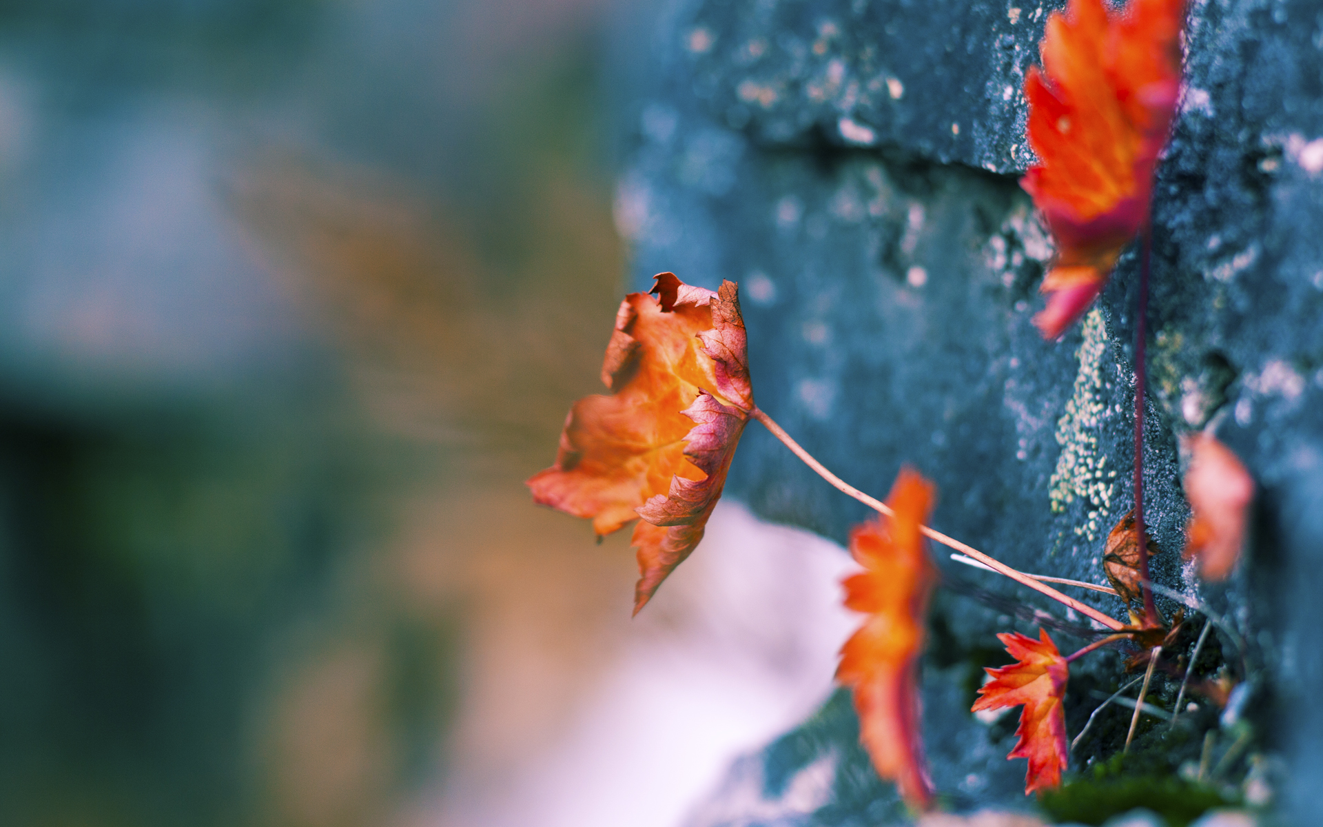 体育评论如何看待体育精神与商业化的碰撞，体育评论如何看待体育精神与商业化的碰撞