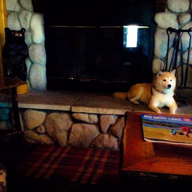 爱游戏中国官方网站平台-博卡无有效限制拜仁中场持球推进，博卡知名球星